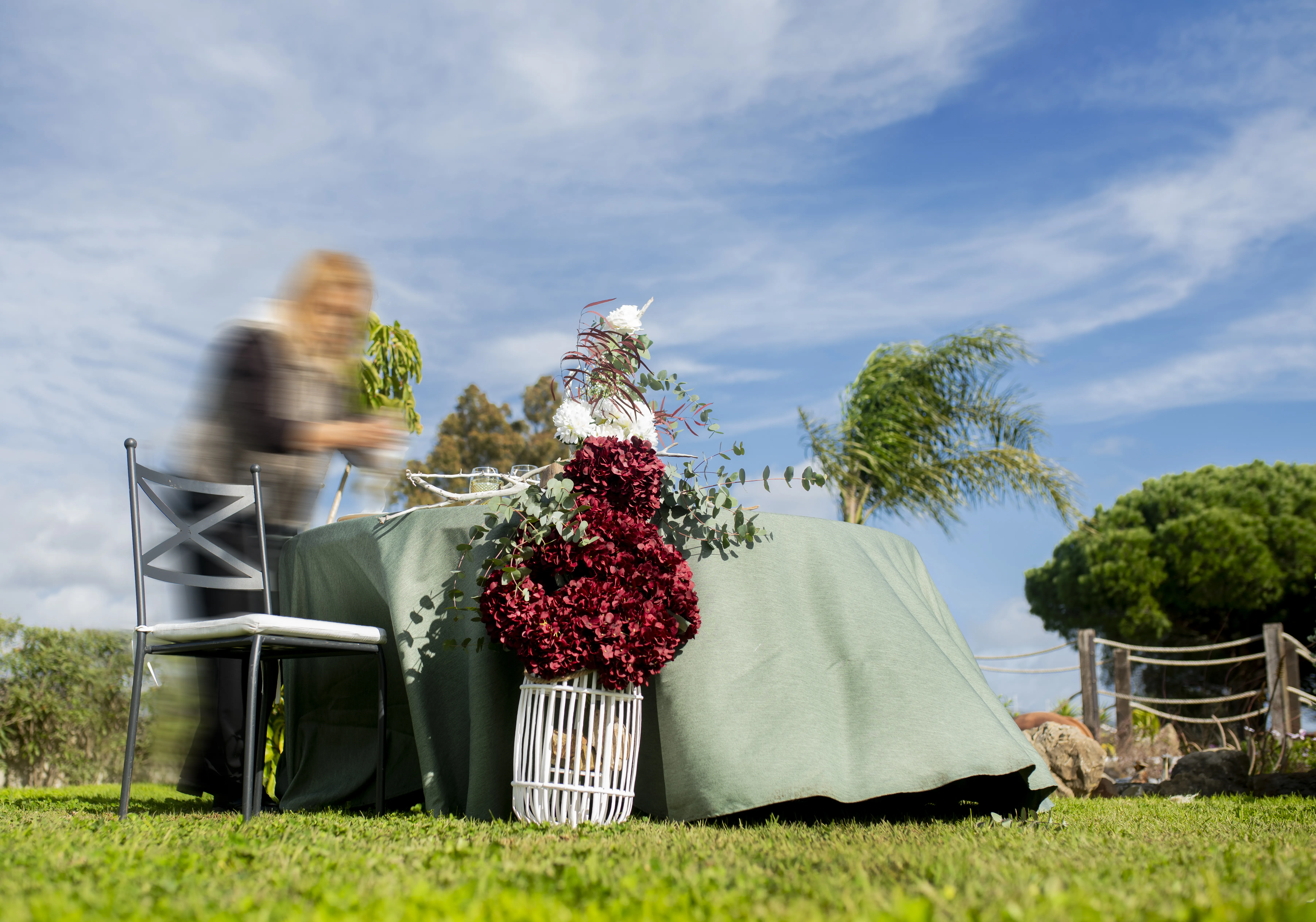 Solicita presupuesto