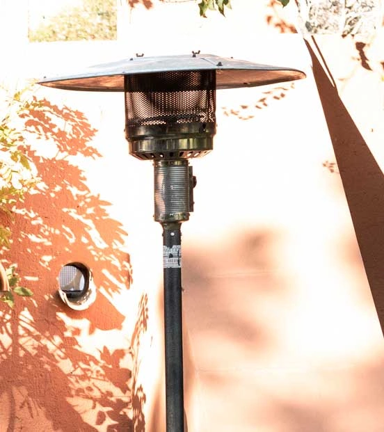 Champiñón para eventos y bodas